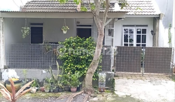 Rumah Murah Siap Huni, Tengah Kota, Jual Cepat, Jl Ikan, Lowokwaru, Malang