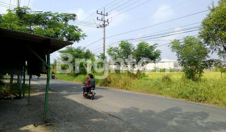 GUDANG INDUSTRI PELEM WATU MENGANTI GRESIK 2