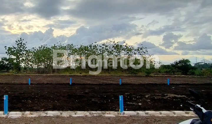 MURAH TANAH KAVLING ROYAL TANJUNG DOMAS GRESIK 1