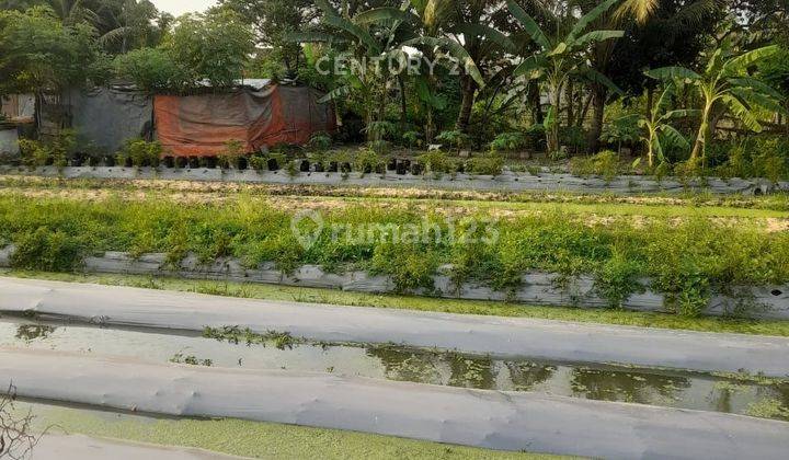 Tanah Kenanga Kebon Dalem Nego Sampai Deal 2