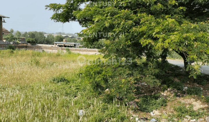 Tanah Jalan Utama Lingkar Selatan Deringo 2