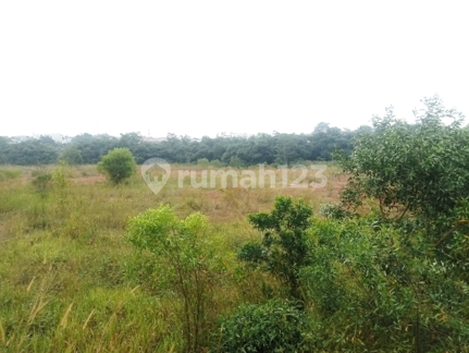 SUPER HOT Strategic Land Location Next to the Highway in Cileungsi