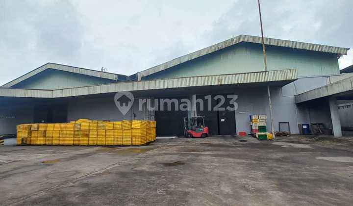 SUPER HOT Spacious Factory Strategic Location Low Price in Cikarang