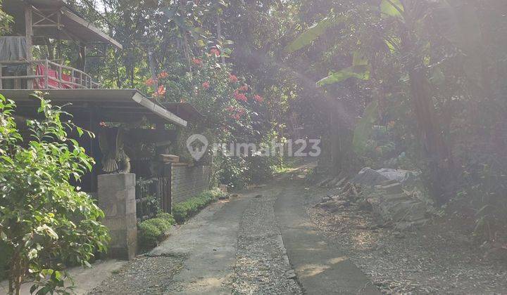 Tanah Lingkungan Asri 161m2 Kersan Triwidadi Pajangan Bantul 2