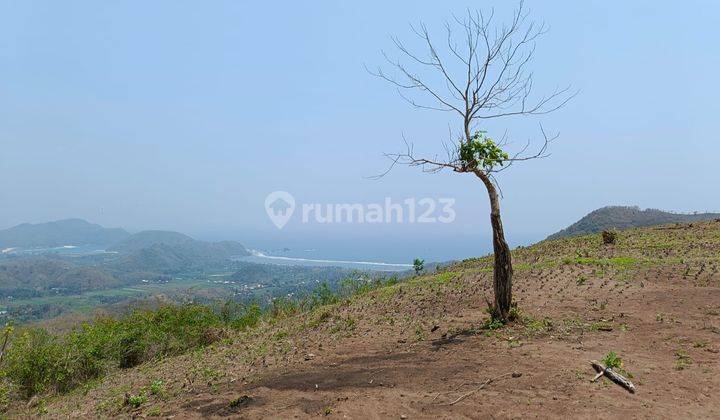 Land Selong Belanak Lombok Near Tampah Hills 1