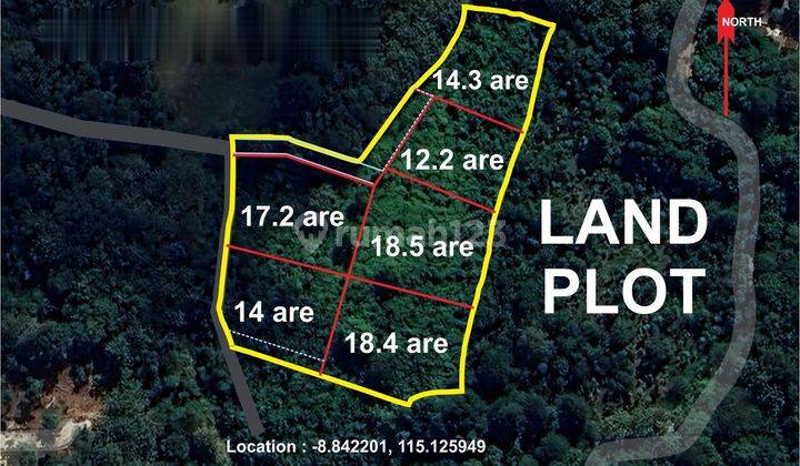 Land For Lease In Pecatu Area next To Bvlgari Resort  2