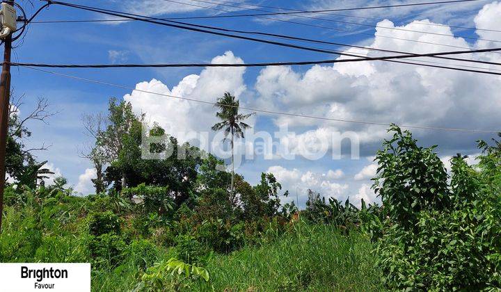 TANAH MURAH DI TENGAH KOTA 1