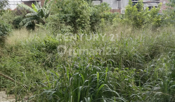 Dijual Cepat Tanah Di Jln Raya Cibaduyut 2