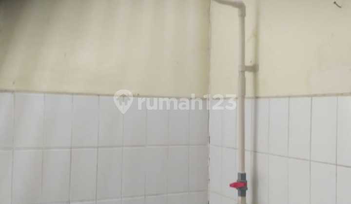 Luxury House With Swimming Pool