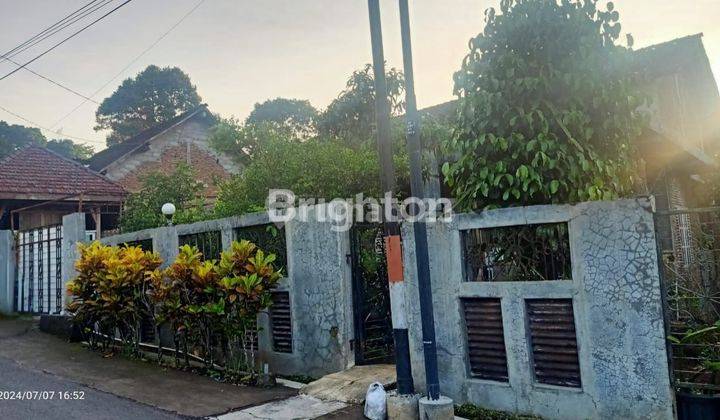 RUMAH STRATEGIS PINGGIR JALAN RAYA, BANYAK POHON BUAH DAN KOLAM IKAN, COCOK UNTUK CAFE. 1