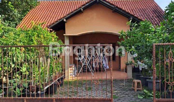 RUMAH ASRI NYAMAN BEBAS BANJIR 1