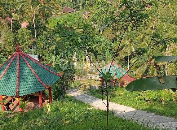 For Sale Land Large Land + Garden on Jl. Negara Tabanan Bali 1