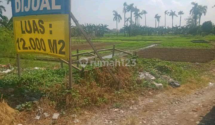 Di Jual Tanah Sawah Luas 12963 1