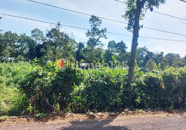 Kavling di Wonoplumbon Mijen Semarang 2