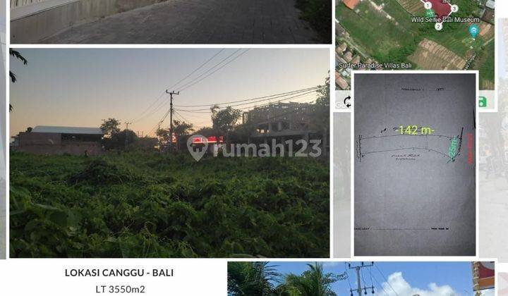 Tanah Di Canggu Lokasi Strategis Sekitar Sudah Ada Villa Dan Cafe