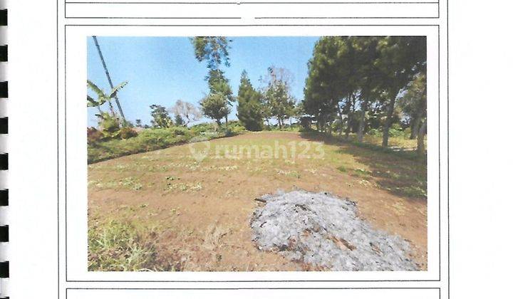 Dijual Tanah Luas 4.707m² Bandung Barat Dekat Kampung Daun  2