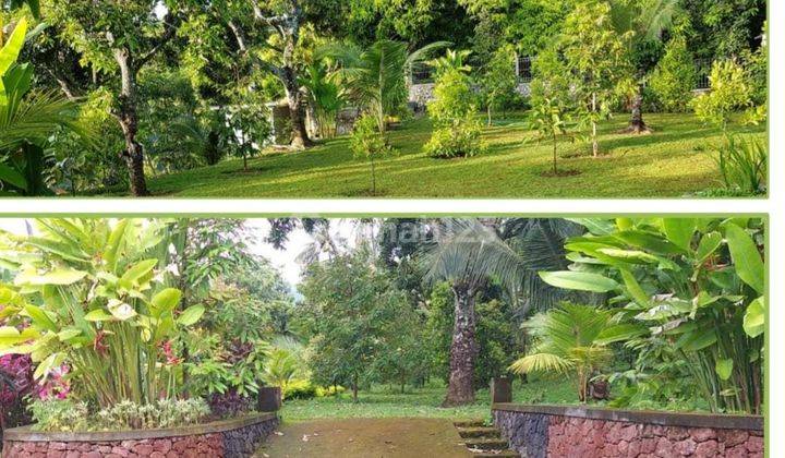  Tanah Komersil di Area Distrik Bisnis, Cocok Untuk Hotel, Villa di Bali  1