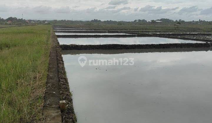 Tanah Jual Lokasi Pasut 1