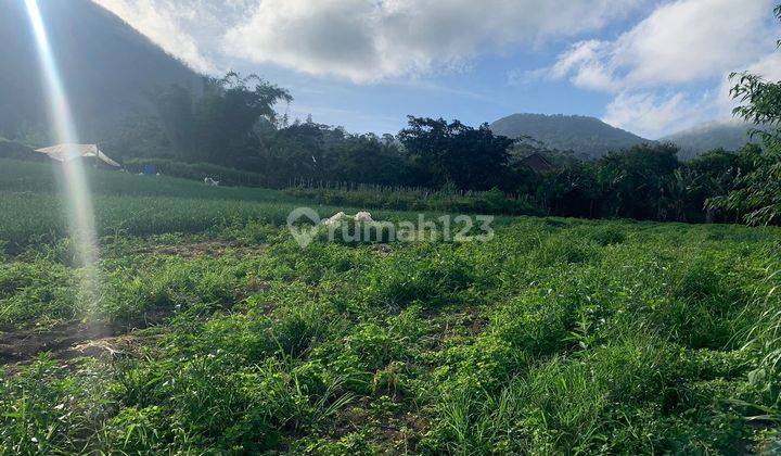 Land for sale in Candi Kuning location 2