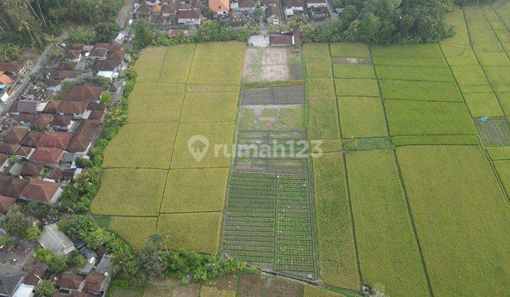 Tanah Jual Lokasi Kelating 2