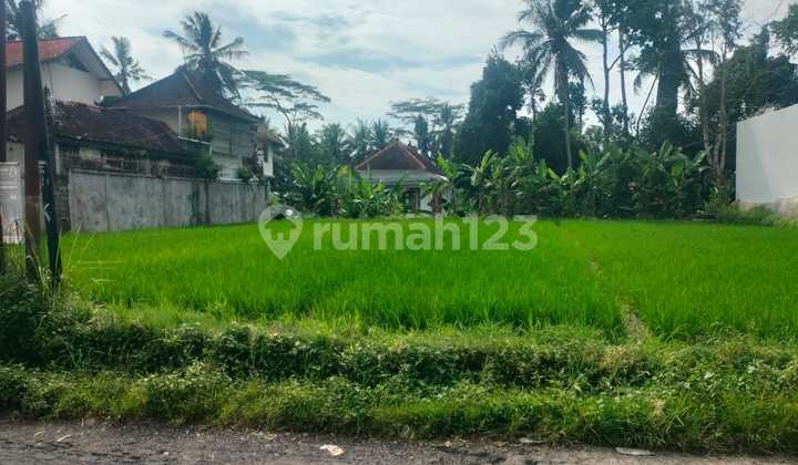 Tanah Jual Lokasi Ubud