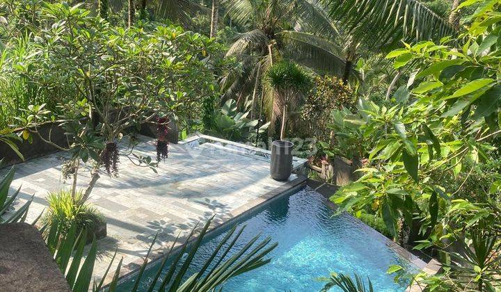 Villa Jual Lokasi Tegallalang 2