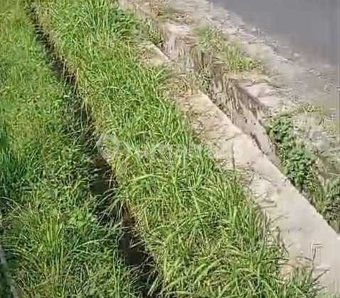 Land for Sale in Ubud Location