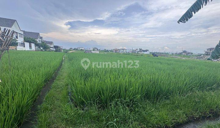 Tanah Jual Lokasi Cemagi 1