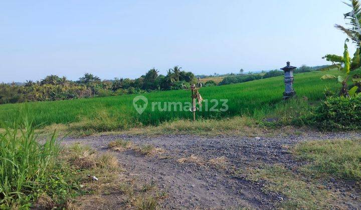 Land for Sale Pasut Location 2