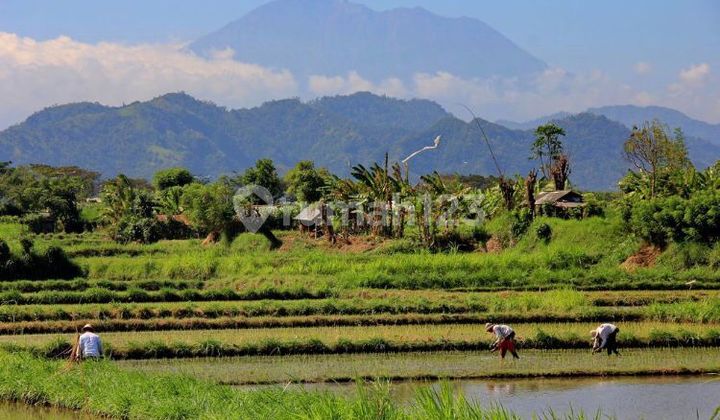 Tanah Jual Lokasi Klungkung