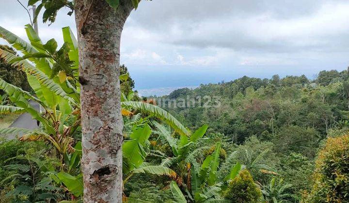 Tanah Jual Lokasi Gobleg 2