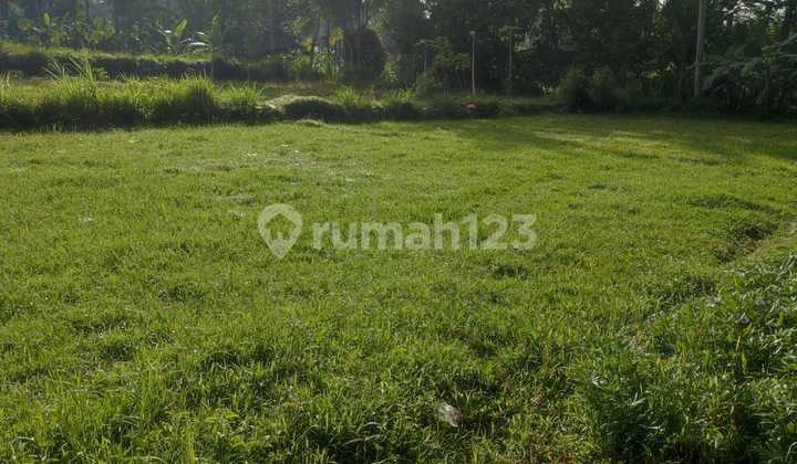 Tanah Jual Lokasi Pejeng