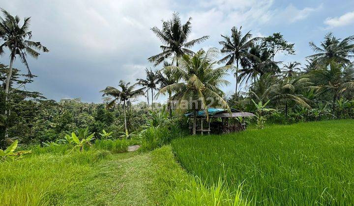 Tanah Jual Lokasi Pejeng 2