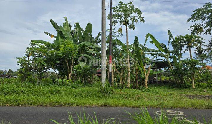 Tanah Jual Lokasi Pejeng 2