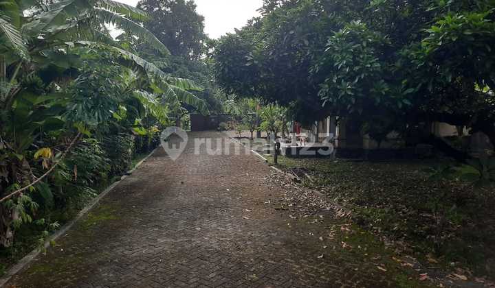 Land for Sale in Kerobokan Location