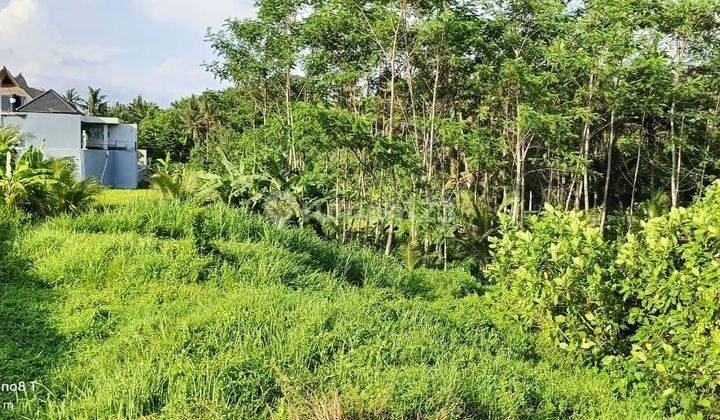 Land for sale in Lodtunduh location 1