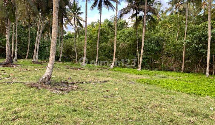 Land for sale in Pekutatan location 1