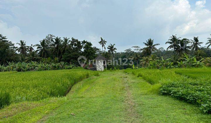 Tanah Jual Lokasi Pejeng 1