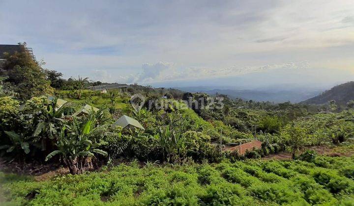 Land for Sale Munduk Location 1