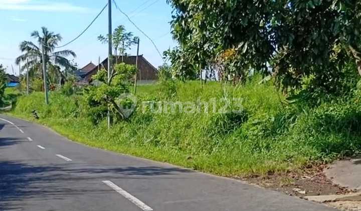 Land for Sale Location Baturiti Land for Sale Location Baturiti
