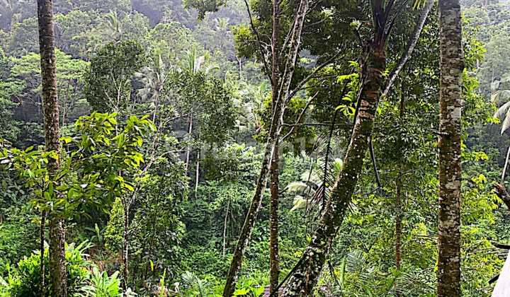 Land for Sale in Sidemen Location