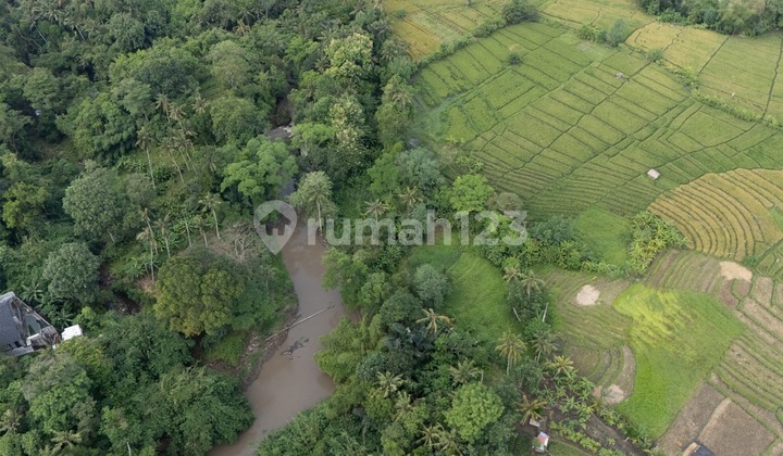 Tanah Jual Lokasi Kaba Kaba