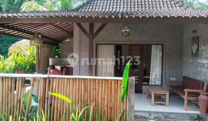 Villa for Sale in Tegallalang Villa for Sale in Tegallalang