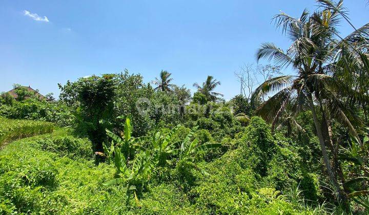 Land for sale in Kenderan location 2