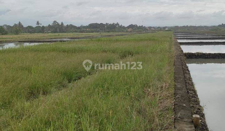 Tanah Jual Lokasi Pasut 2