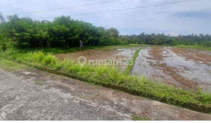 Tanah Jual Lokasi Selemadeg 1