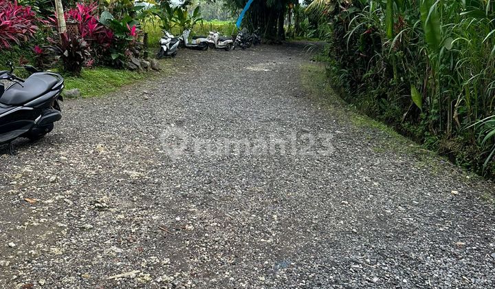 Land for Sale in Carangsari Location Land for Sale in Carangsari Location
