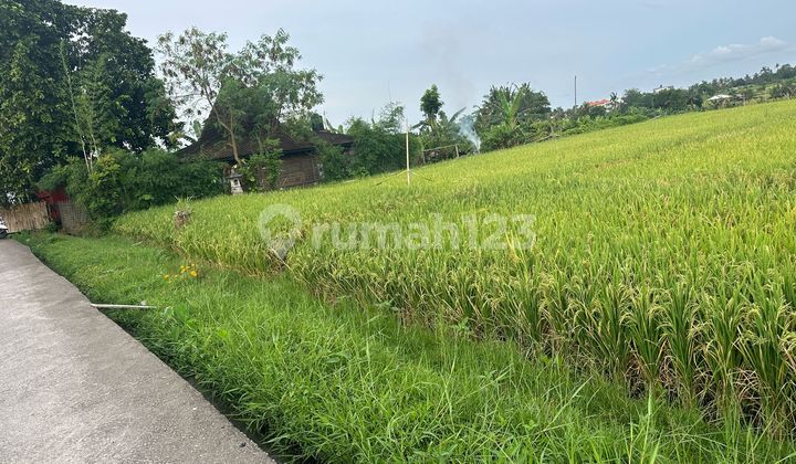 Tanah Jual Lokasi Nyanyi