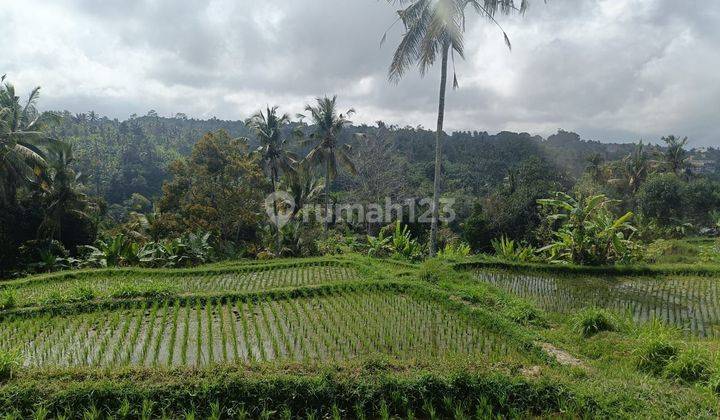 Tanah Jual Lokasi Buahan 1