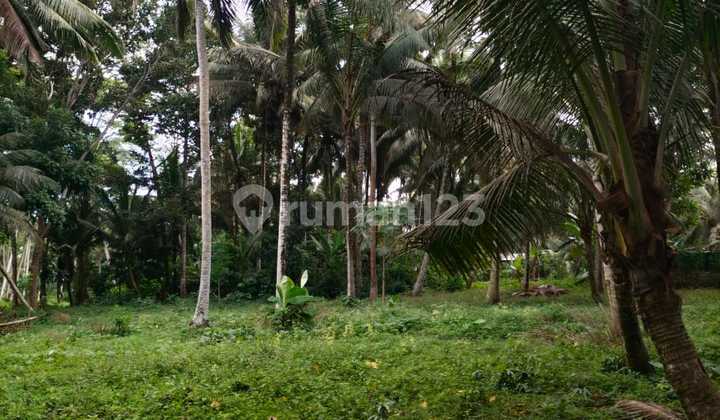 Tanah Jual Lokasi Pejeng